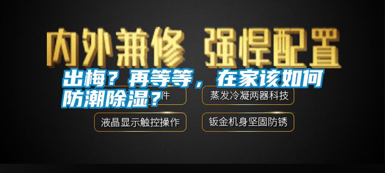 出梅？再等等，在家該如何防潮除濕？