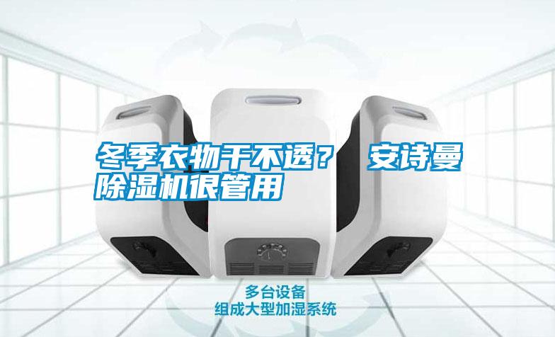 冬季衣物干不透？ 安詩曼除濕機很管用