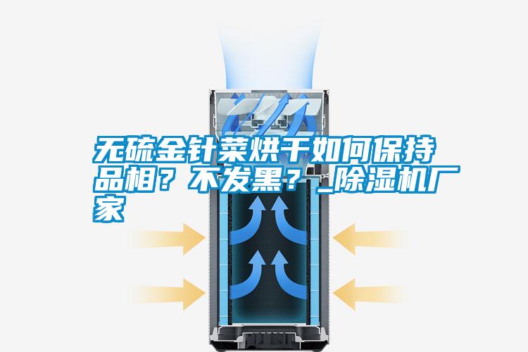 無硫金針菜烘干如何保持品相？不發(fā)黑？_除濕機廠家
