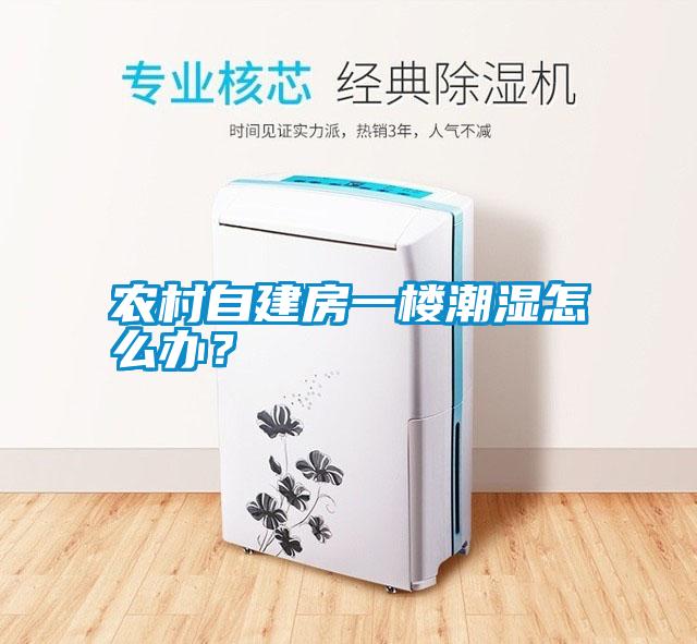 農(nóng)村自建房一樓潮濕怎么辦？
