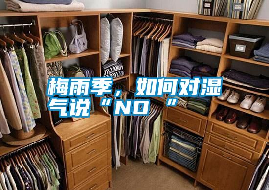 梅雨季，如何對(duì)濕氣說“NO ”