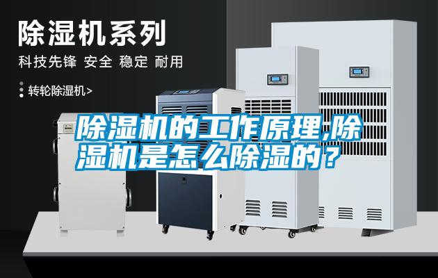 除濕機(jī)的工作原理,除濕機(jī)是怎么除濕的？