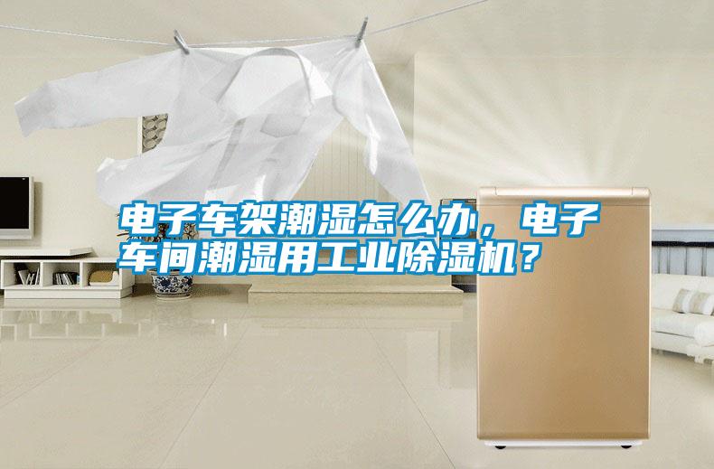 電子車架潮濕怎么辦，電子車間潮濕用工業(yè)除濕機？