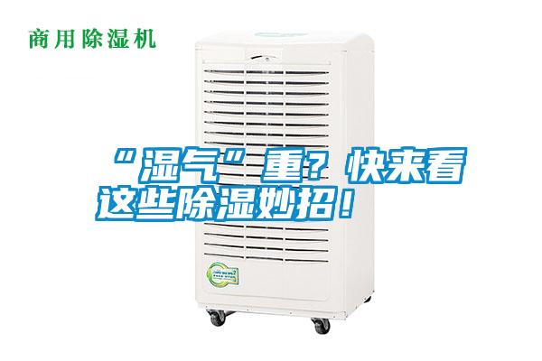 “濕氣”重？快來看這些除濕妙招！