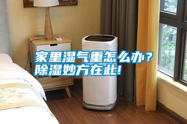 家里濕氣重怎么辦？除濕妙方在此!