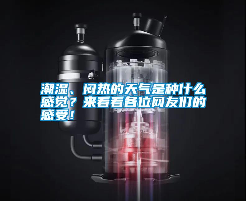 潮濕、悶熱的天氣是種什么感覺？來看看各位網(wǎng)友們的感受！