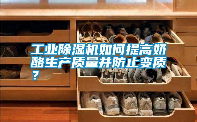 工業(yè)除濕機(jī)如何提高奶酪生產(chǎn)質(zhì)量并防止變質(zhì)？