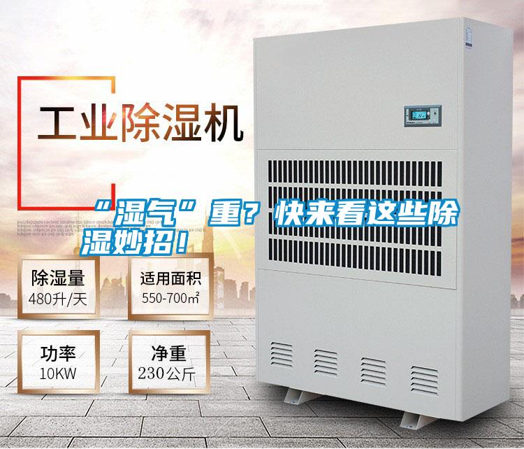 “濕氣”重？快來(lái)看這些除濕妙招！