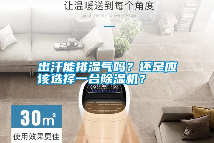 出汗能排濕氣嗎？還是應(yīng)該選擇一臺除濕機？