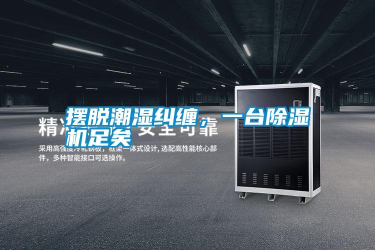 擺脫潮濕糾纏，一臺除濕機足矣