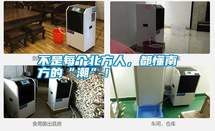 不是每個北方人，都懂南方的“潮”！