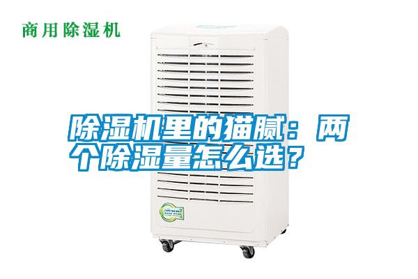 除濕機(jī)里的貓膩：兩個(gè)除濕量怎么選？