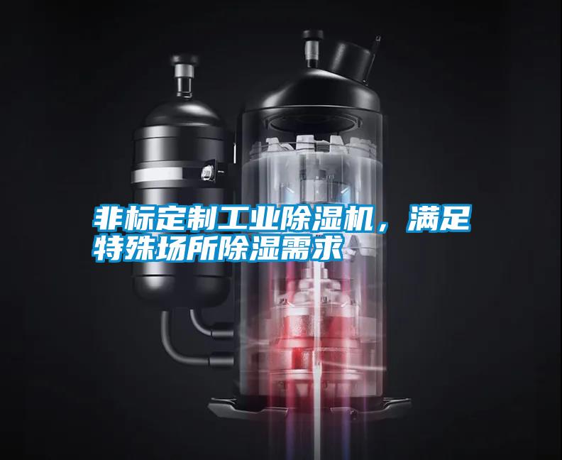 非標(biāo)定制工業(yè)除濕機(jī)，滿足特殊場(chǎng)所除濕需求