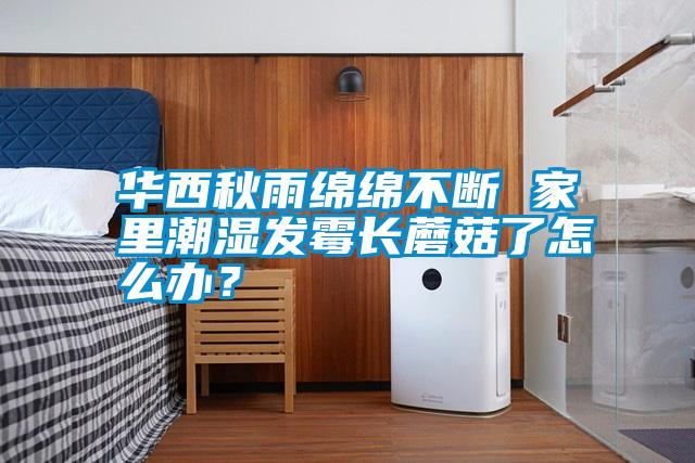華西秋雨綿綿不斷 家里潮濕發(fā)霉長(zhǎng)蘑菇了怎么辦？