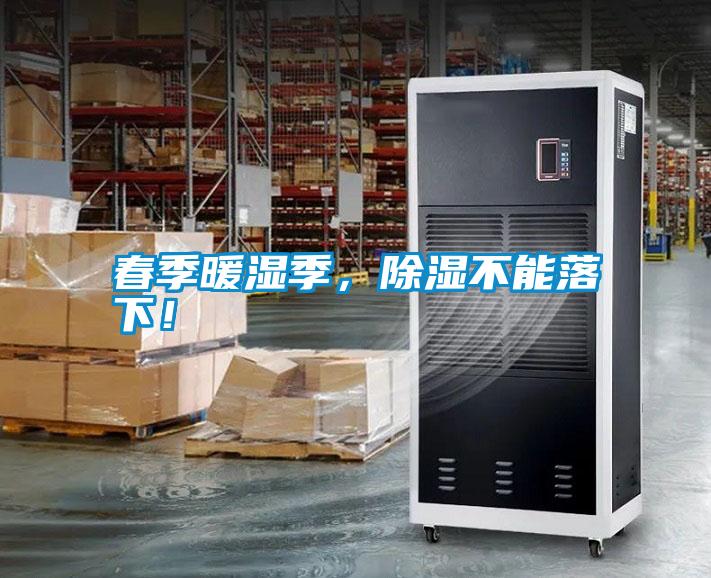 春季暖濕季，除濕不能落下！
