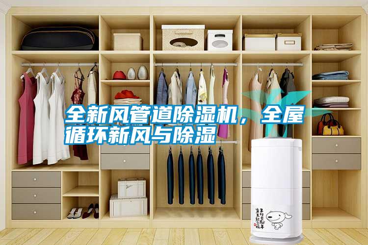 全新風(fēng)管道除濕機，全屋循環(huán)新風(fēng)與除濕