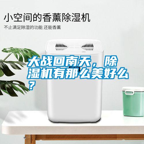 大戰(zhàn)回南天，除濕機(jī)有那么美好么？