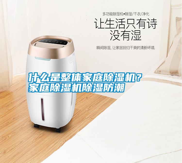 什么是整體家庭除濕機？ 家庭除濕機除濕防潮