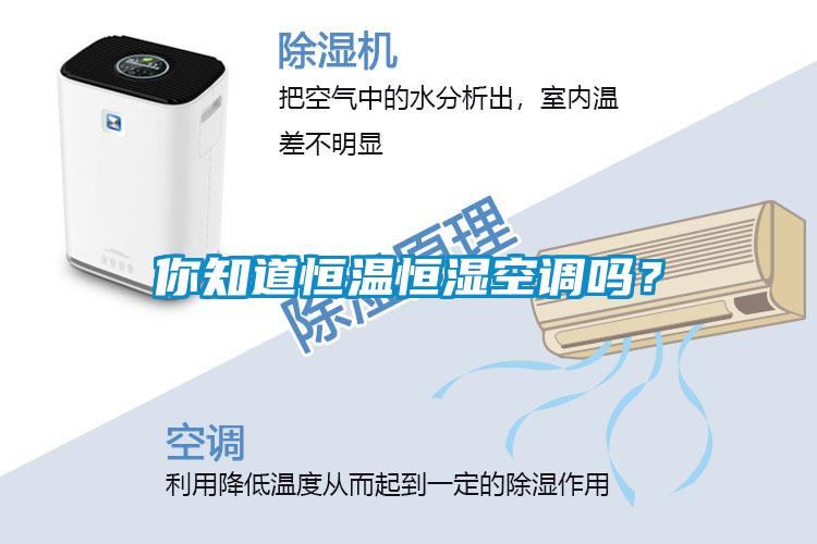 你知道恒溫恒濕空調(diào)嗎？