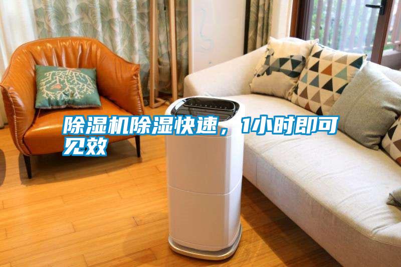 除濕機(jī)除濕快速，1小時(shí)即可見(jiàn)效