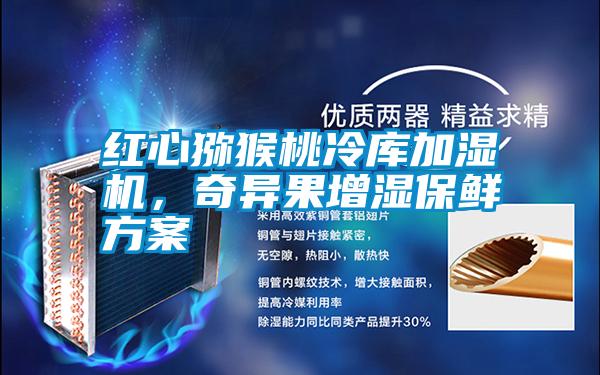 紅心獼猴桃冷庫(kù)加濕機(jī)，奇異果增濕保鮮方案