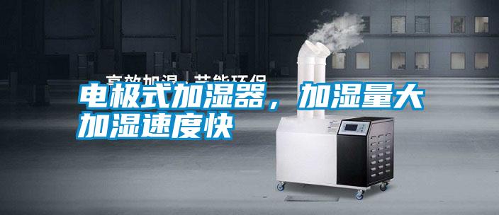 電極式加濕器，加濕量大加濕速度快
