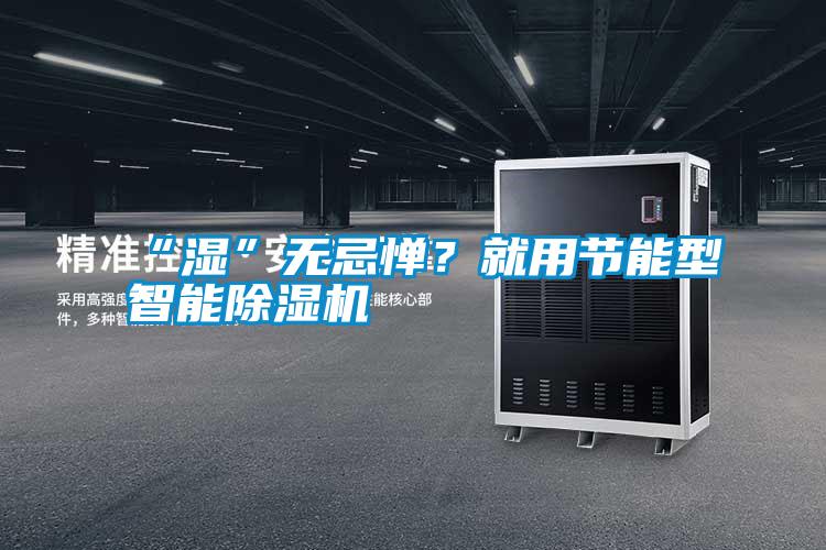 “濕”無忌憚？就用節(jié)能型智能除濕機(jī)