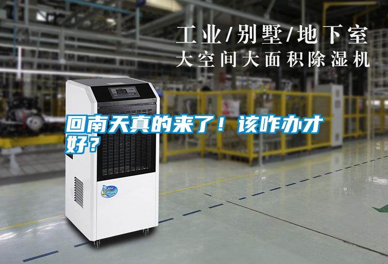 回南天真的來(lái)了！該咋辦才好？