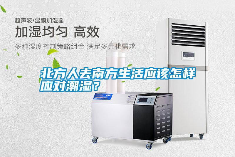 北方人去南方生活應(yīng)該怎樣應(yīng)對潮濕？