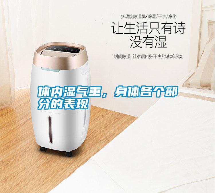 體內(nèi)濕氣重，身體各個部分的表現(xiàn)