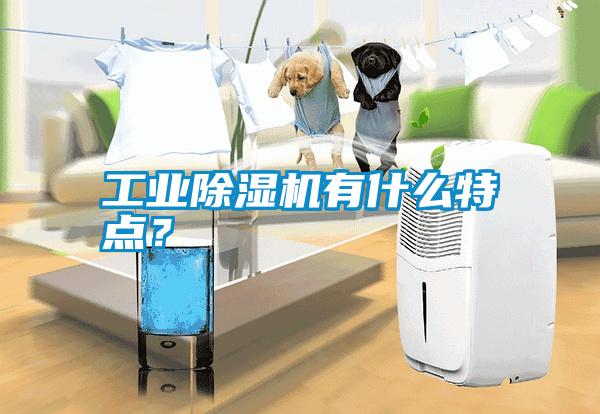 工業(yè)除濕機有什么特點？