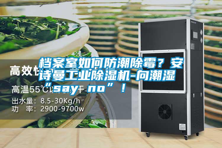 檔案室如何防潮除霉？安詩曼工業(yè)除濕機(jī)-向潮濕“say no”！