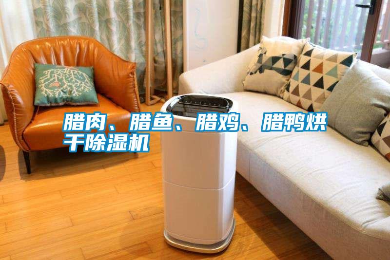臘肉、臘魚、臘雞、臘鴨烘干除濕機(jī)