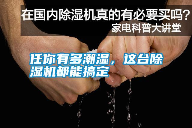 任你有多潮濕，這臺除濕機(jī)都能搞定