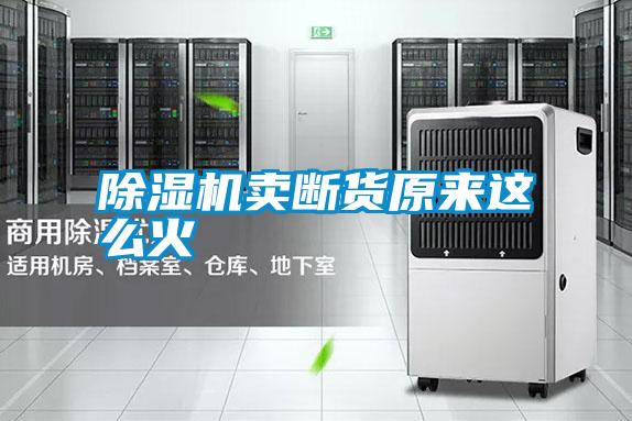 除濕機(jī)賣(mài)斷貨原來(lái)這么火