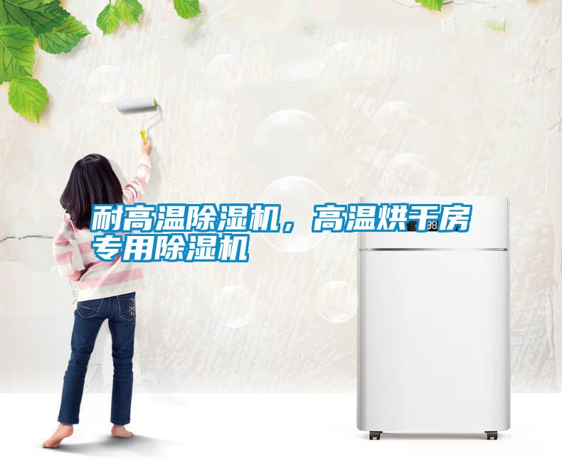 耐高溫除濕機(jī)，高溫烘干房專用除濕機(jī)