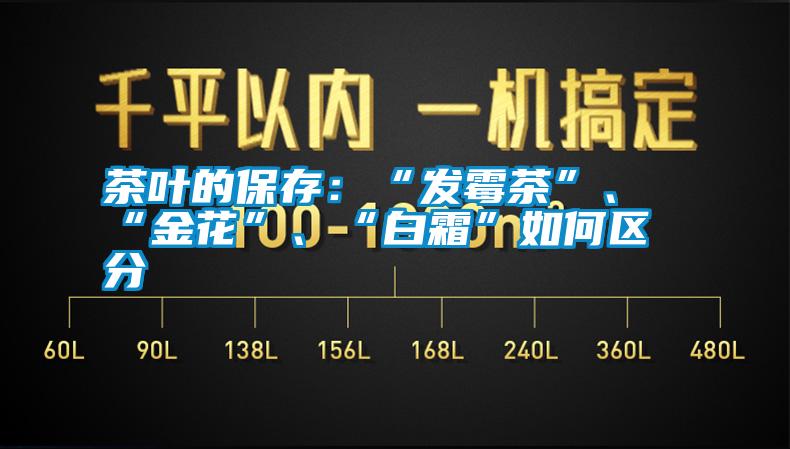 茶葉的保存：“發(fā)霉茶”、“金花”、“白霜”如何區(qū)分