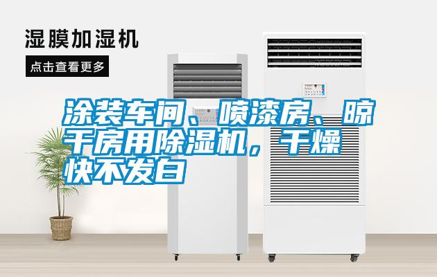 涂裝車間、噴漆房、晾干房用除濕機(jī)，干燥快不發(fā)白