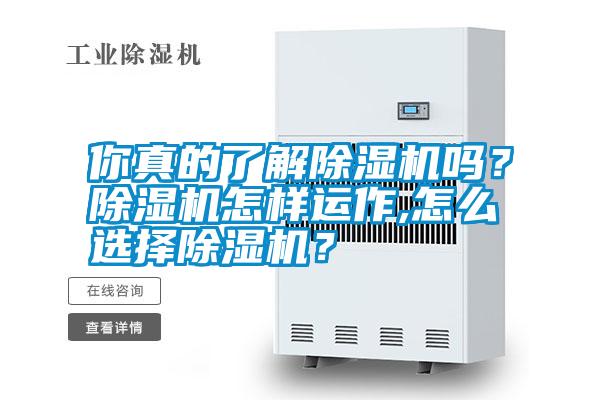 你真的了解除濕機嗎？除濕機怎樣運作,怎么選擇除濕機？