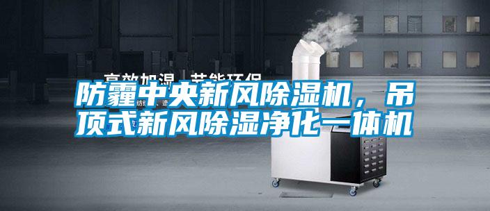 防霾中央新風除濕機，吊頂式新風除濕凈化一體機