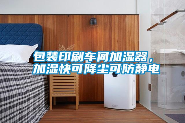 包裝印刷車間加濕器，加濕快可降塵可防靜電