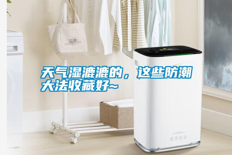 天氣濕漉漉的，這些防潮大法收藏好~