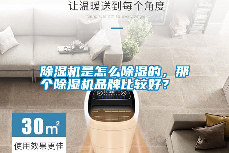除濕機(jī)是怎么除濕的，那個(gè)除濕機(jī)品牌比較好？