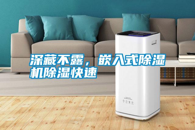 深藏不露，嵌入式除濕機除濕快速
