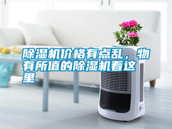 除濕機(jī)價(jià)格有點(diǎn)亂，物有所值的除濕機(jī)看這里