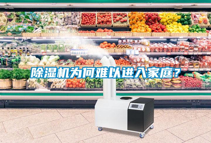 除濕機(jī)為何難以進(jìn)入家庭？