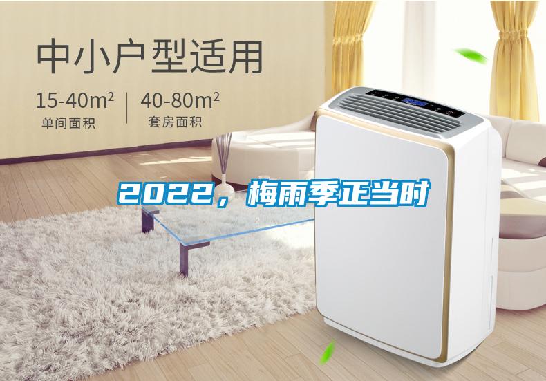 2022，梅雨季正當(dāng)時(shí)