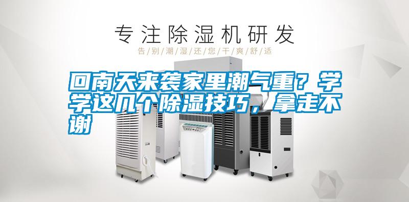 回南天來襲家里潮氣重？學(xué)學(xué)這幾個除濕技巧，拿走不謝