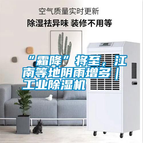 “霜降”將至，江南等地陰雨增多｜工業(yè)除濕機