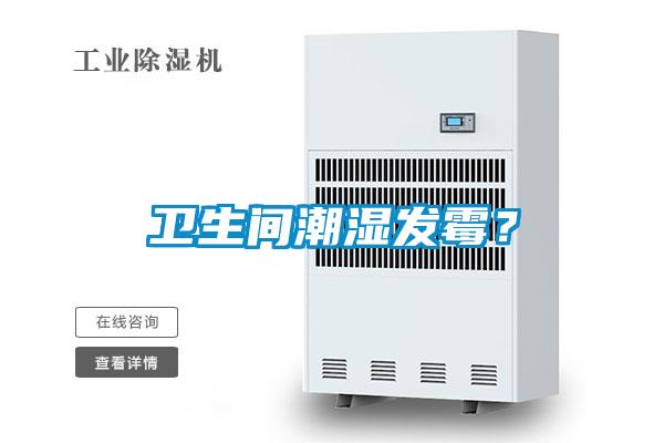 衛(wèi)生間潮濕發(fā)霉？